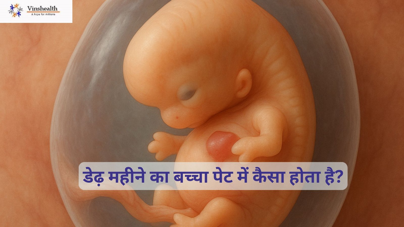 डेढ़ महीने का बच्चा पेट में कैसा होता है?
