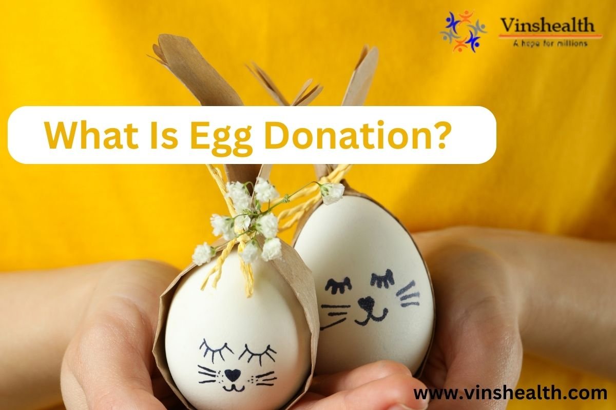 What Is Egg Donation? | Empowering Hope and Fertility