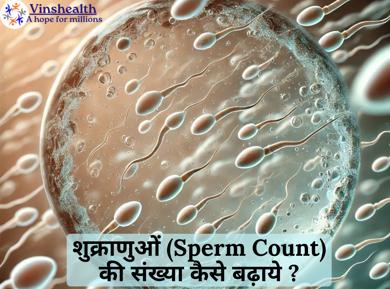 शुक्राणुओं (sperm count)की संख्या कैसे बढ़ाये ?